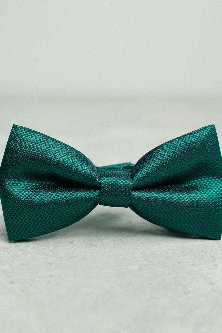Зеленый галстук-бабочка